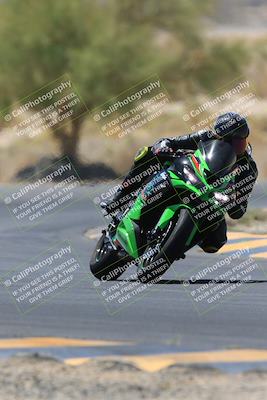 media/May-14-2023-SoCal Trackdays (Sun) [[024eb53b40]]/Turn 5 Tree of Life (1125am)/